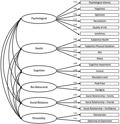 Active Aging in Very Old Age and the Relevance of <mark class="highlighted">Psychological Aspects</mark>